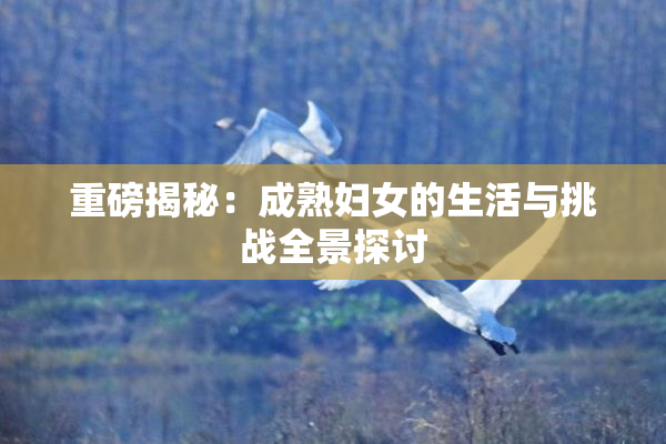 重磅揭秘：成熟妇女的生活与挑战全景探讨