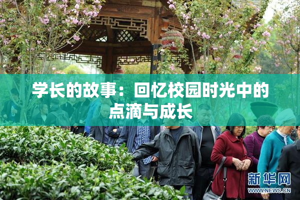 学长的故事：回忆校园时光中的点滴与成长