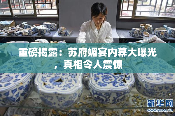重磅揭露：苏府媚宴内幕大曝光，真相令人震惊