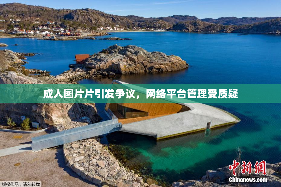成人图片片引发争议，网络平台管理受质疑