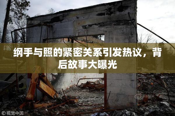 纲手与照的紧密关系引发热议，背后故事大曝光