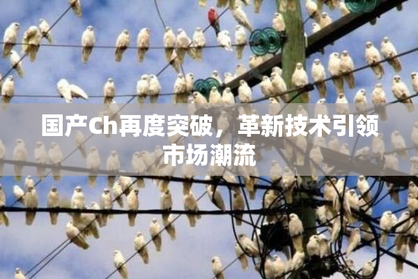 国产Ch再度突破，革新技术引领市场潮流