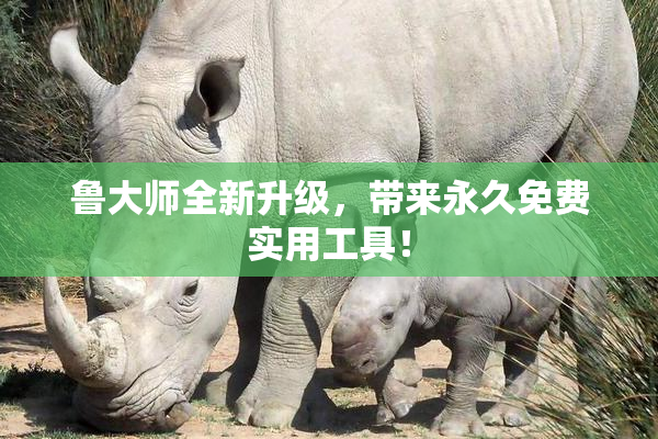 鲁大师全新升级，带来永久免费实用工具！