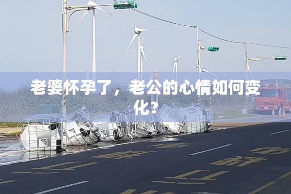 老婆怀孕了，老公的心情如何变化？