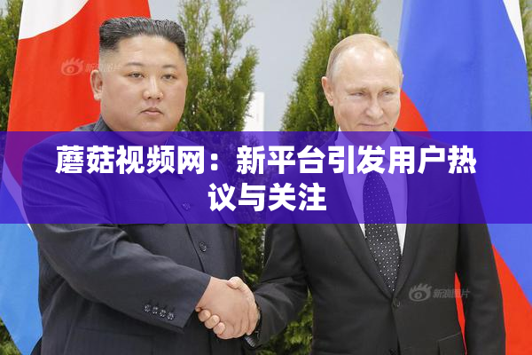 蘑菇视频网：新平台引发用户热议与关注