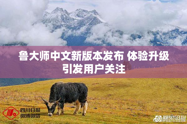鲁大师中文新版本发布 体验升级引发用户关注