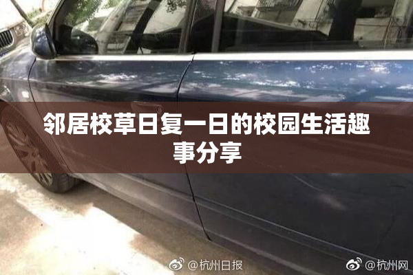 邻居校草日复一日的校园生活趣事分享