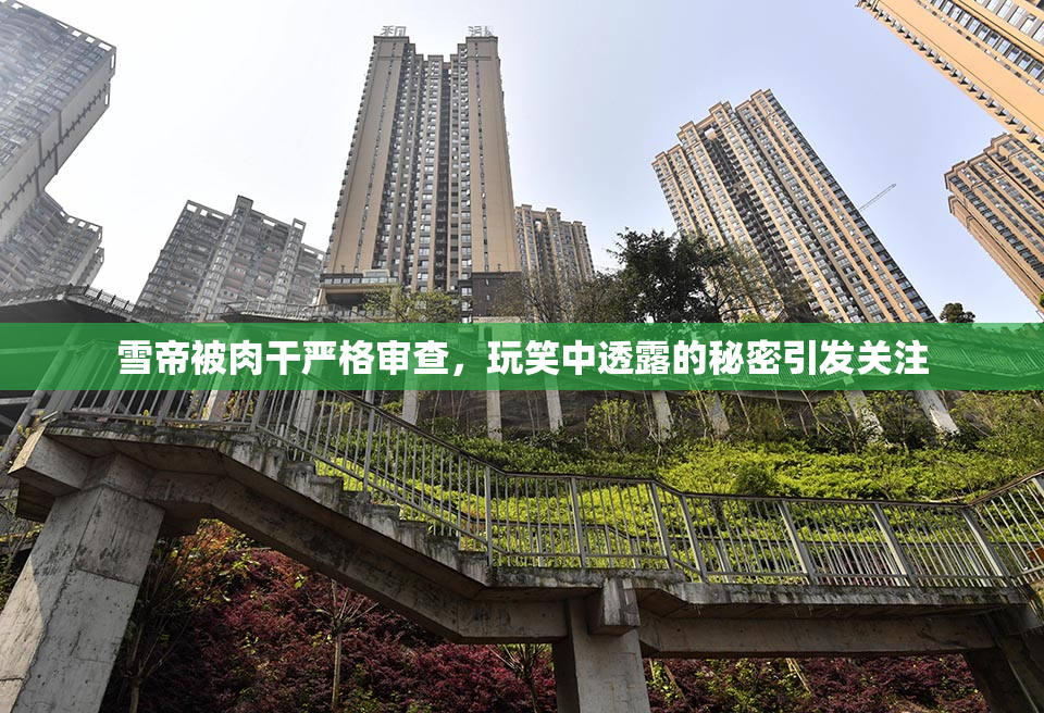 雪帝被肉干严格审查，玩笑中透露的秘密引发关注