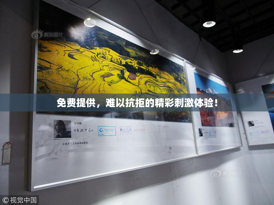 免费提供，难以抗拒的精彩刺激体验！