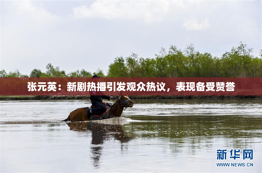 张元英：新剧热播引发观众热议，表现备受赞誉