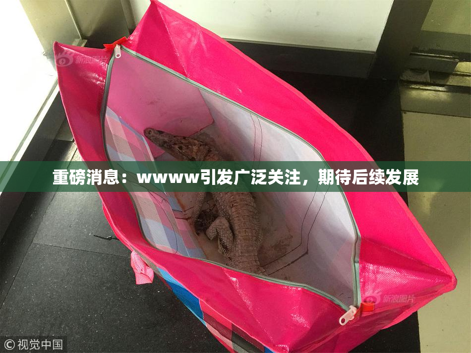 重磅消息：wwww引发广泛关注，期待后续发展
