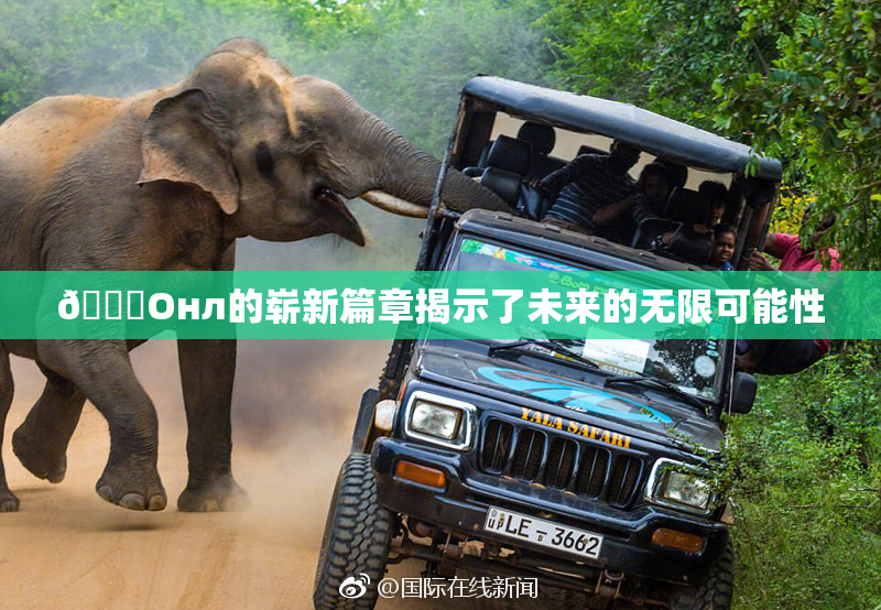 🐔Oнл的崭新篇章揭示了未来的无限可能性