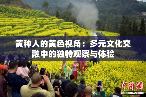 黄种人的黄色视角：多元文化交融中的独特观察与体验