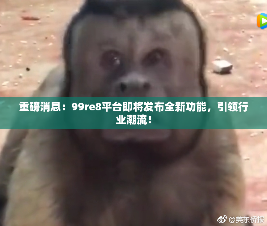 重磅消息：99re8平台即将发布全新功能，引领行业潮流！