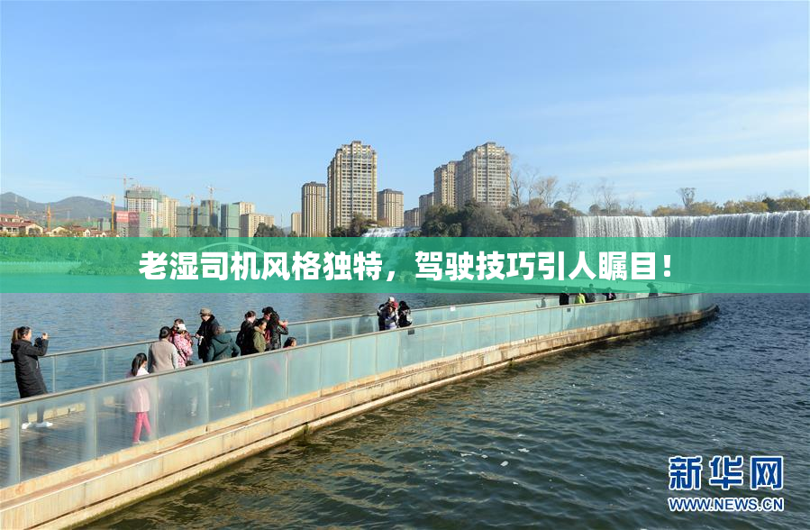 老湿司机风格独特，驾驶技巧引人瞩目！