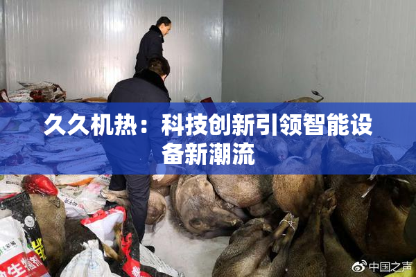 久久机热：科技创新引领智能设备新潮流