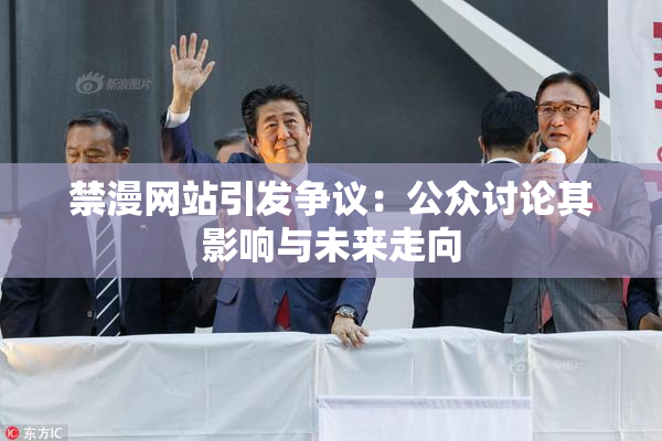 禁漫网站引发争议：公众讨论其影响与未来走向
