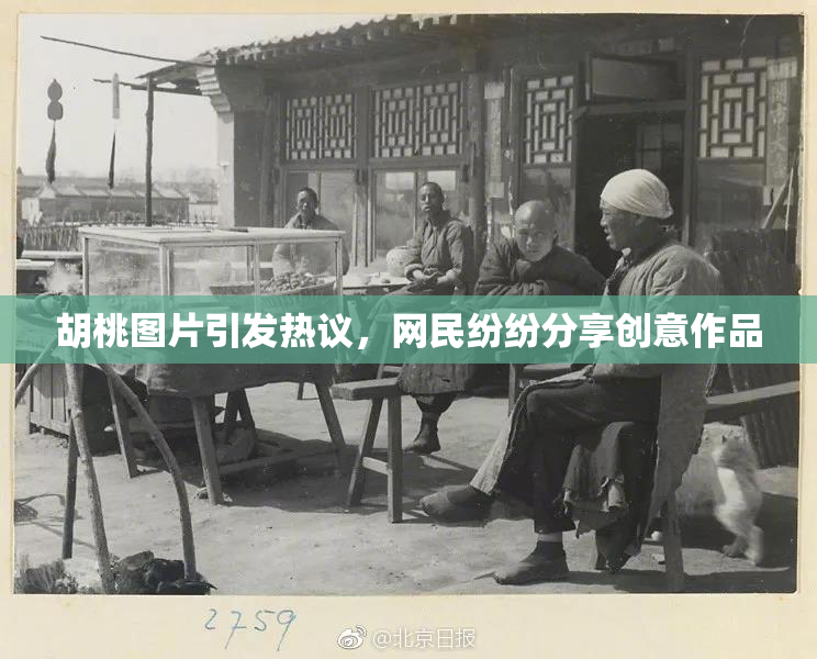 胡桃图片引发热议，网民纷纷分享创意作品