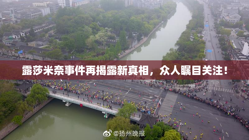 露莎米奈事件再揭露新真相，众人瞩目关注！