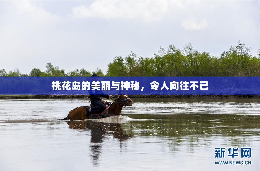 桃花岛的美丽与神秘，令人向往不已