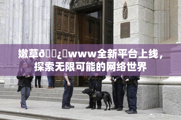 嫩草🌿‌www全新平台上线，探索无限可能的网络世界