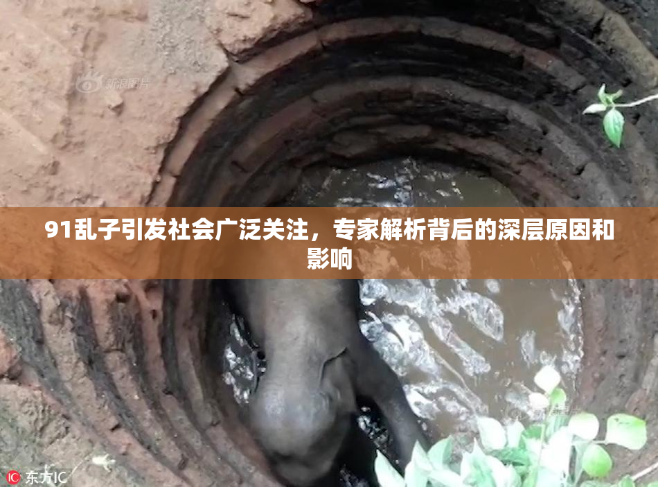 91乱子引发社会广泛关注，专家解析背后的深层原因和影响