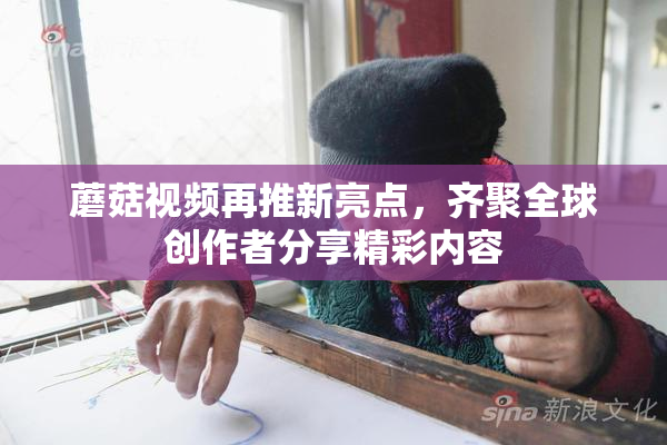 蘑菇视频再推新亮点，齐聚全球创作者分享精彩内容
