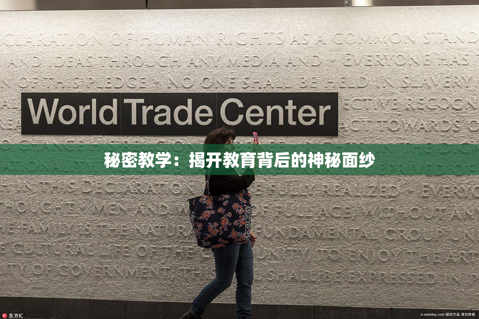 秘密教学：揭开教育背后的神秘面纱