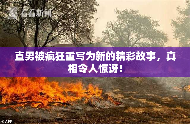直男被疯狂重写为新的精彩故事，真相令人惊讶！