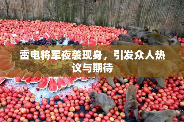雷电将军夜袭现身，引发众人热议与期待