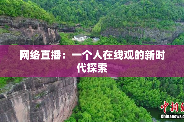 网络直播：一个人在线观的新时代探索