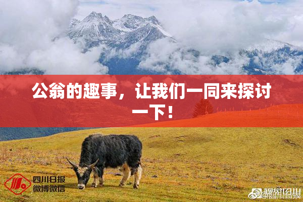 公翁的趣事，让我们一同来探讨一下！