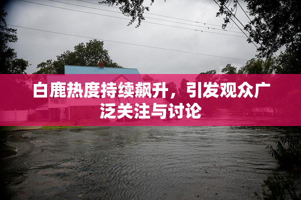 白鹿热度持续飙升，引发观众广泛关注与讨论