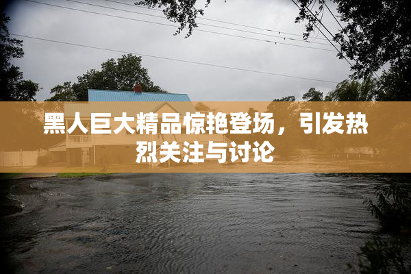 黑人巨大精品惊艳登场，引发热烈关注与讨论
