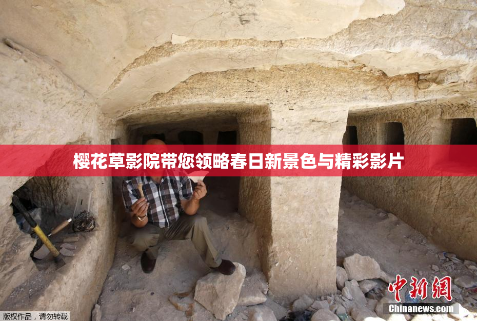 樱花草影院带您领略春日新景色与精彩影片