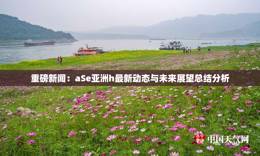 重磅新闻：aSe亚洲h最新动态与未来展望总结分析