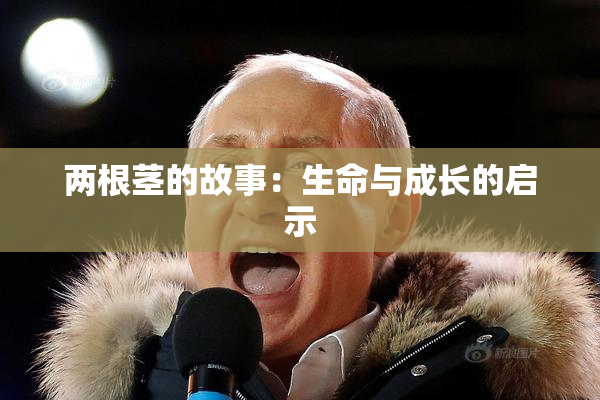 两根茎的故事：生命与成长的启示