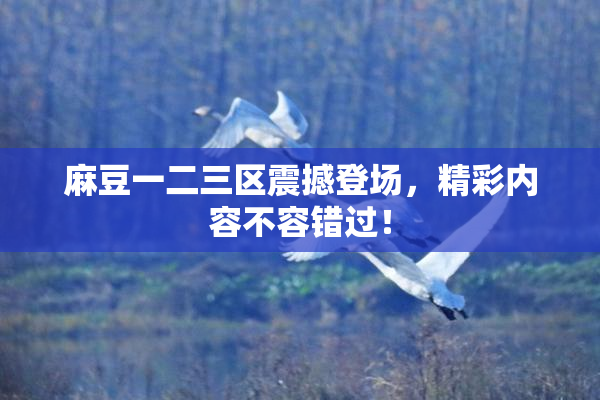 麻豆一二三区震撼登场，精彩内容不容错过！