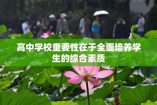 高中学校重要性在于全面培养学生的综合素质