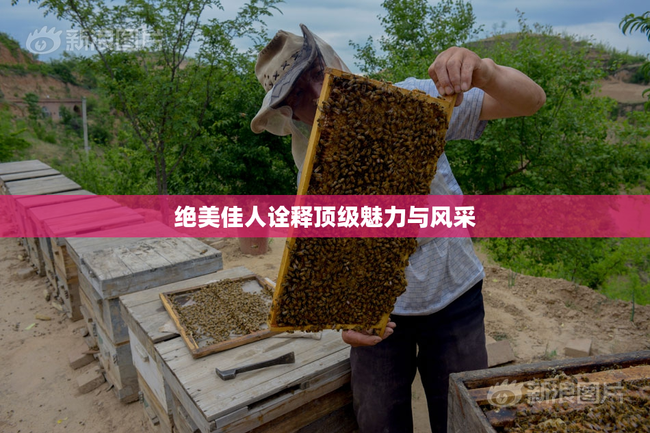 绝美佳人诠释顶级魅力与风采