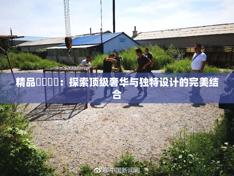 精品❌‌❌‌：探索顶级奢华与独特设计的完美结合