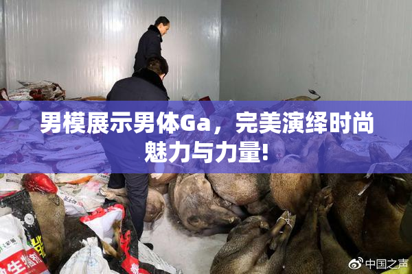 男模展示男体Ga，完美演绎时尚魅力与力量!
