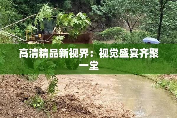 高清精品新视界：视觉盛宴齐聚一堂
