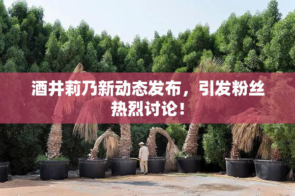 酒井莉乃新动态发布，引发粉丝热烈讨论！