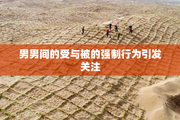 男男间的受与被的强制行为引发关注