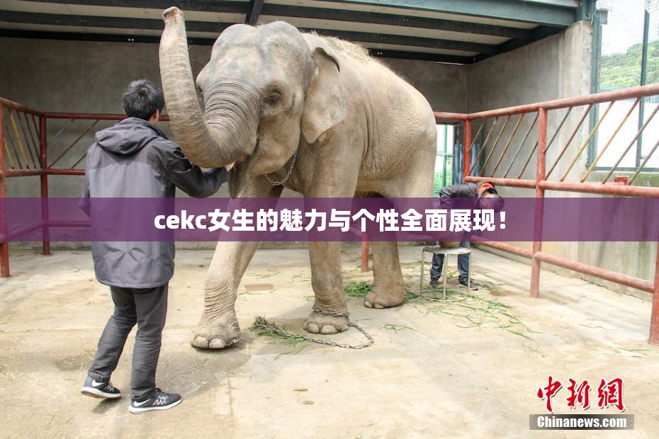 cekc女生的魅力与个性全面展现！