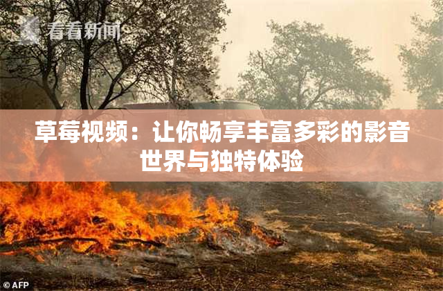 草莓视频：让你畅享丰富多彩的影音世界与独特体验
