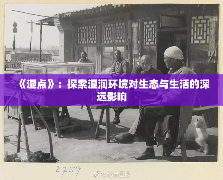 《湿点》：探索湿润环境对生态与生活的深远影响