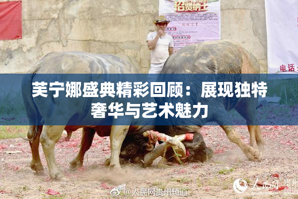 芙宁娜盛典精彩回顾：展现独特奢华与艺术魅力