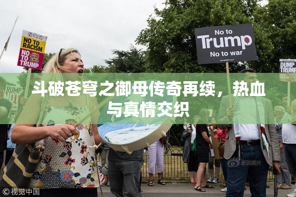 斗破苍穹之御母传奇再续，热血与真情交织